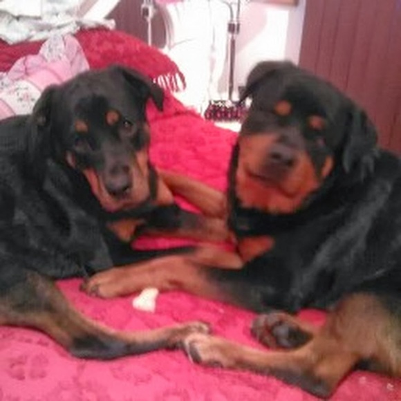 Meet your Posher, Leslie - Picture 1 of 1